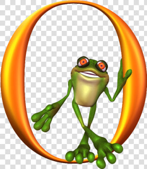 Abc Clip Art For Teachers Frog Images Gallery   Red eyed Tree Frog  HD Png Download