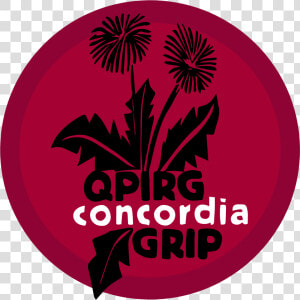 Qpirg Concordia  HD Png Download