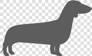 Free Weiner Dog Svg  HD Png Download