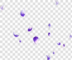 Transparent Falling Petals Png   Blue Falling Flower Petals Png  Png Download