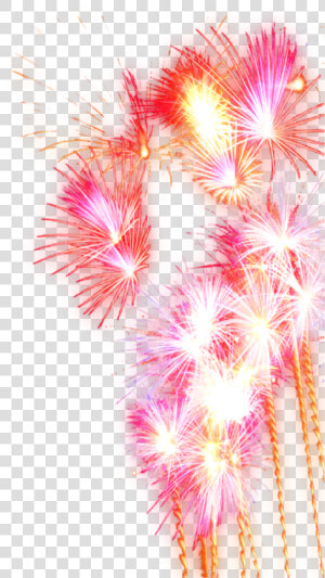 Festival Fireworks Pyrotechnics Free Transparent Image  HD Png Download