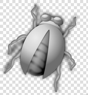 Transparent Hormiga Clipart   Bugs Clipart Png  Png Download