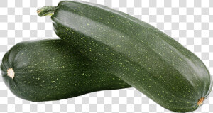 Zucchini Png  Transparent Png