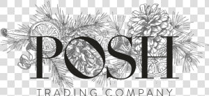 Posh Trading Company   Illustration  HD Png Download