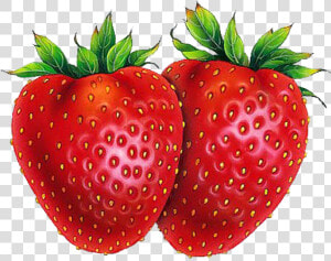 Strawberry Shortcake Drawing Fruit   Strawberries Drawings  HD Png Download