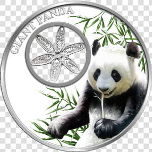 Snowflake Panda Bear 1oz Silver Filigree Coin Tokelau   Coin  HD Png Download