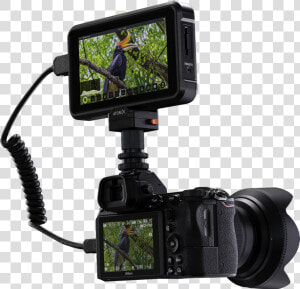 The Atomos Shinobi 5 Inch High Brightness Hdr Monitor   Atomos Shinobi 5 Inch Hdmi 4k Monitor  HD Png Download