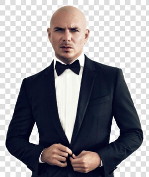 Pitbull Artist Png   Pitbull Music  Transparent Png