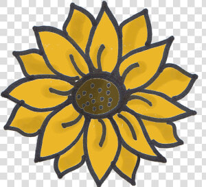 The Little Matters   Beginner Sunflower Easy Drawing  HD Png Download