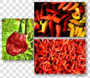 Transparent Chile Picante Png   Chile Picante  Png Download