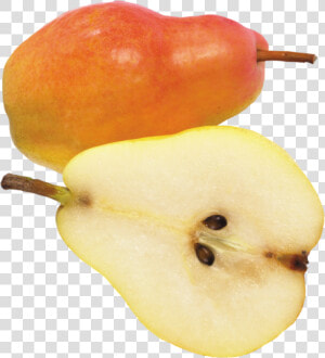 Pear Png Image   طراحی میوه گلابی نصف شده  Transparent Png