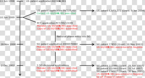 Pct Versus Us Patent Filing  HD Png Download