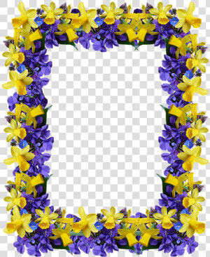 Frame  Spring  Flowers  Daffodils  Violets   Delphinium  HD Png Download