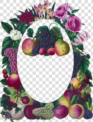 Vintage Floral And Fruit Frame Clip Arts   Floral Frame Oval Vintage  HD Png Download