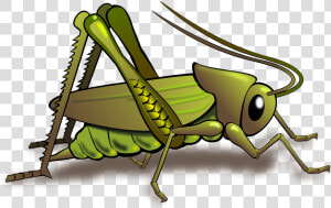 Clipart Of Bug  Cricket And Insects   حشرة تحتوي على البروتين  HD Png Download