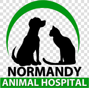 Normandy Animal Hospital   Dog Yawns  HD Png Download