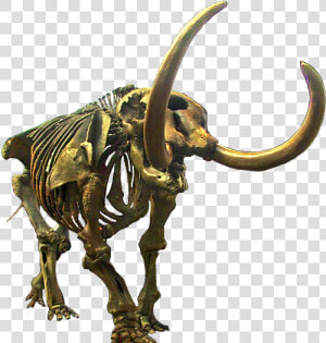 Mastodon Transparent  HD Png Download