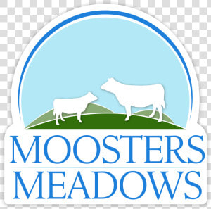 Moosters Meadows   Horse  HD Png Download