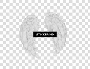 More Pankh Png   Angel Wings  Transparent Png