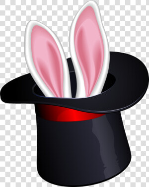 Transparent Rabbits Clipart   Clip Art Rabbit In Hat  HD Png Download