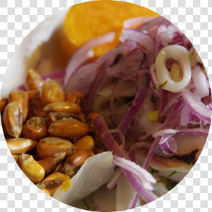 Round Ceviche Web   Red Onion  HD Png Download