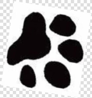 Pin Cat Paws Meme Center Cake On Pinterest   Yorkshire Terrier Paw Prints  HD Png Download