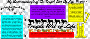 Fragile Web Of Life  HD Png Download