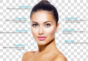 Botox Areas   Facial Aesthetics  HD Png Download