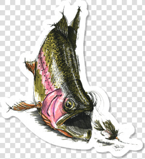 Cory Street Rainbow Trout Sticker   Illustration  HD Png Download