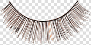 Fake Eyelashes Png   Eyelash Extensions  Transparent Png