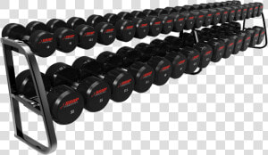 Gym Dumbbells Png  Transparent Png