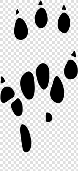 Paw Prints Clipart Rat Paw 25 Mm   Rat Paw Print Png  Transparent Png