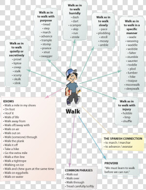 E4 Walk Word Web   Slow Walk Synonym  HD Png Download