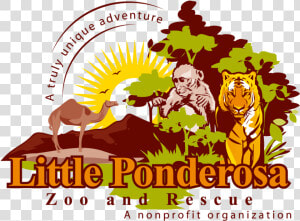 Littleponderosazoo   Com   Little Ponderosa Zoo Logo  HD Png Download