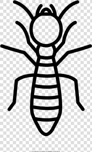 Termite Coloring Page   Beetle  HD Png Download