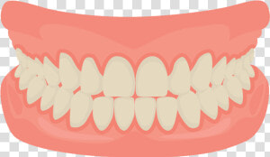 Dentures   Mouth Teeth Cartoon  HD Png Download