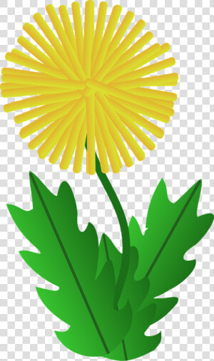 Dandelion Clipart   Png Download   Dandelion Clipart  Transparent Png