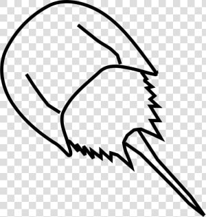 Horse Shoe Horseshoe Crab Clipart Png   Drawing Of A Horseshoe Crab  Transparent Png