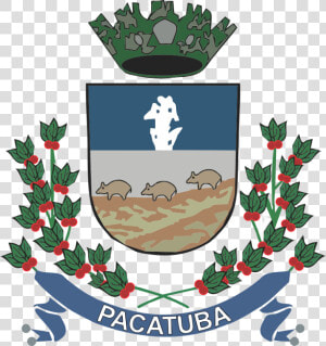 Prefeitura De Pacatuba  HD Png Download