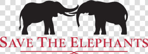 Save The Elephants Logo  HD Png Download