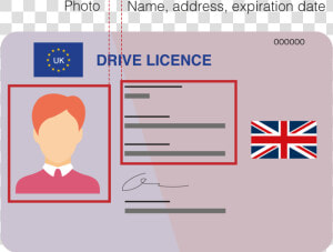 Driving Licence   History Memes Latin America  HD Png Download