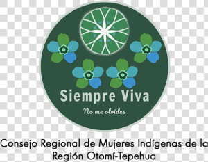 Siempre Viva Regional Organization Copy 600pixels Psydeh   Circle  HD Png Download