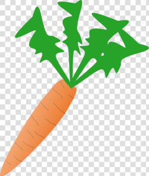 Food  Cartoon  Free  Salad  Plant  Carrot  Vegetable   Carrot Clip Art  HD Png Download