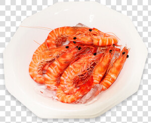 Botan Shrimp  HD Png Download