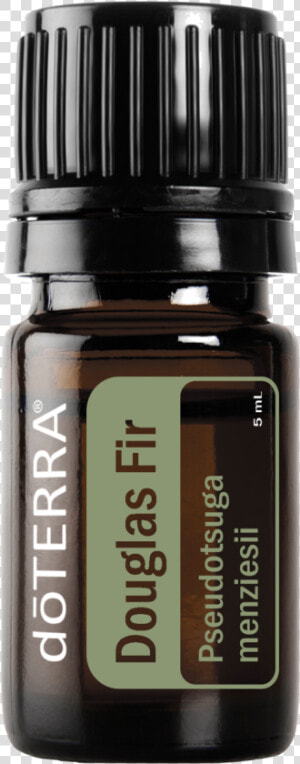 Doterra Douglas Fir Essential Oil 5ml   Bottle  HD Png Download