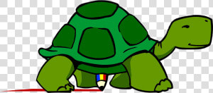 Collection Of Picture Of A Cartoon Turtle   Tortoise Clipart  HD Png Download