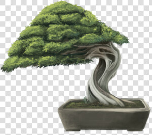 Png Black And White Download Bonsai Tree By Minums   Bonsai Tree Hd Png  Transparent Png