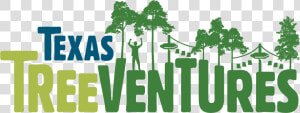 Texas Tree Ventures  HD Png Download