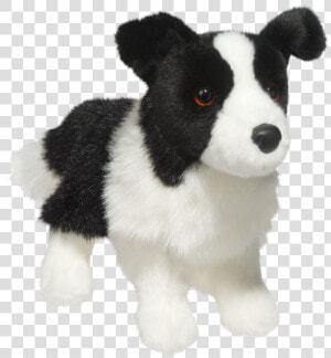 Border Collie  HD Png Download