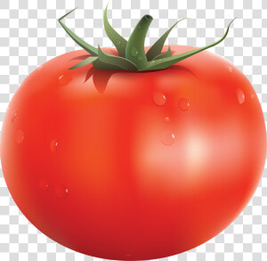 Tomato Png   Individual Fruits And Vegetables  Transparent Png